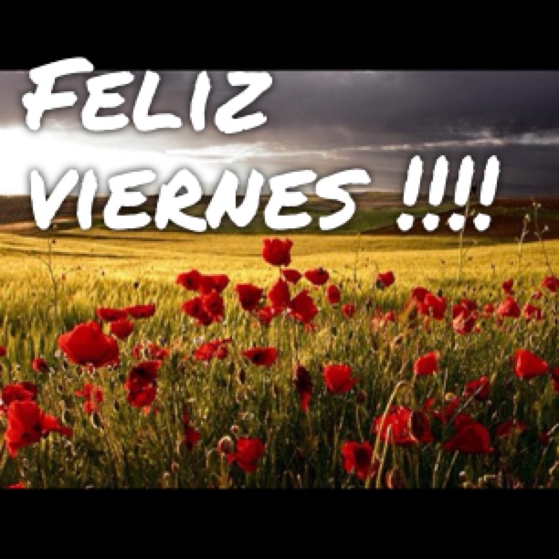 Feliz Viernes!!!!