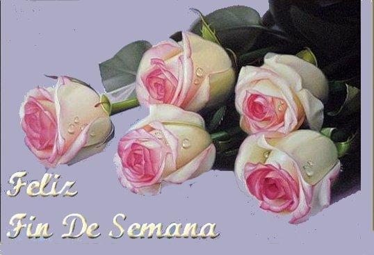 Feliz Fin de Semana