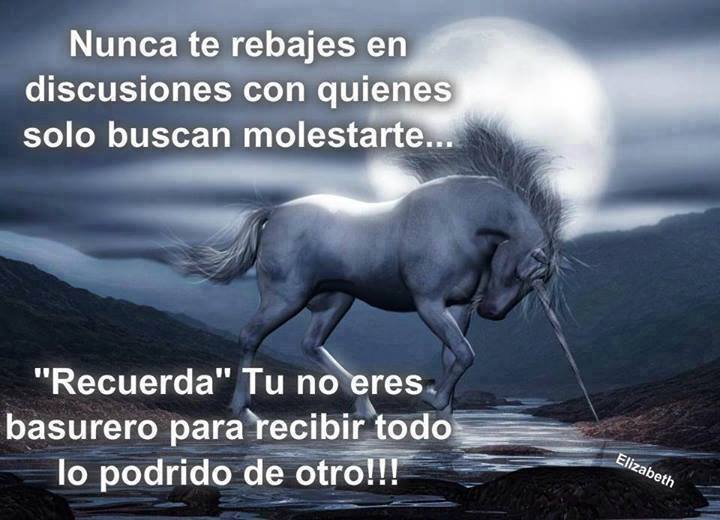 Nunca te rebajes en discusiones…