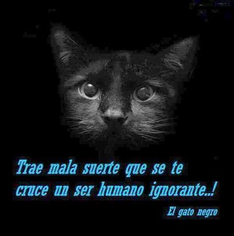 Trae mala suerte que se te cruce un ser humano ignorante...!