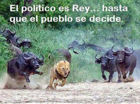 El político es Rey…hasta que el pueblo se decide.