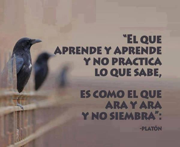 El que aprende y aprende y no practica lo que sabe, es como el que ara y ara y no siembra. Platón