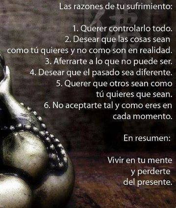 Las razones de tu sufrimiento: 1. Querer controlarlo todo. 2. Desear que las cosas sean como tú quieres y no como son en realidad. 3. Aferrarte a lo que no puede ser. 4. Desear que el pasado sea diferente.