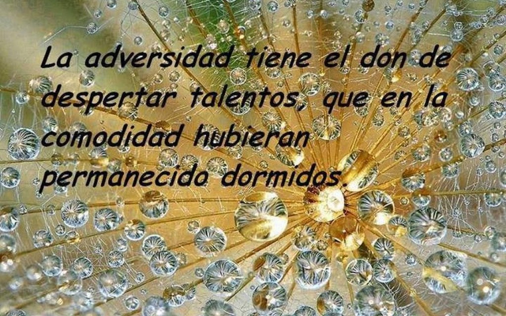 La Adversidad tiene el don de despertar talentos