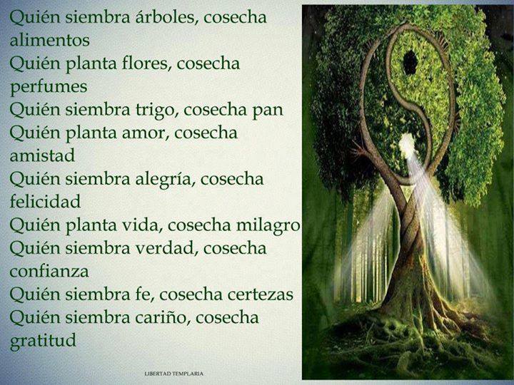 Quién siembra árboles, cosecha alimentos.