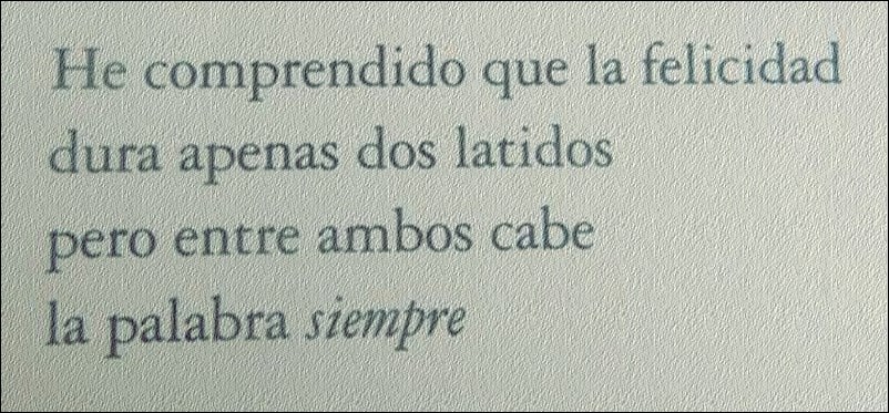 He comprendido que la felicidad dura apenas dos latidos