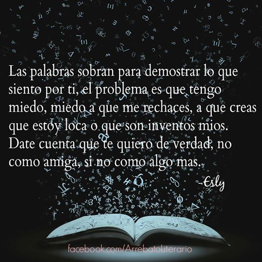 Las palabras sobran para demostrar lo que siento por ti, el problema es que tengo miedo, miedo a que me rechaces, a que creas que estoy loca o que son inventos mios.