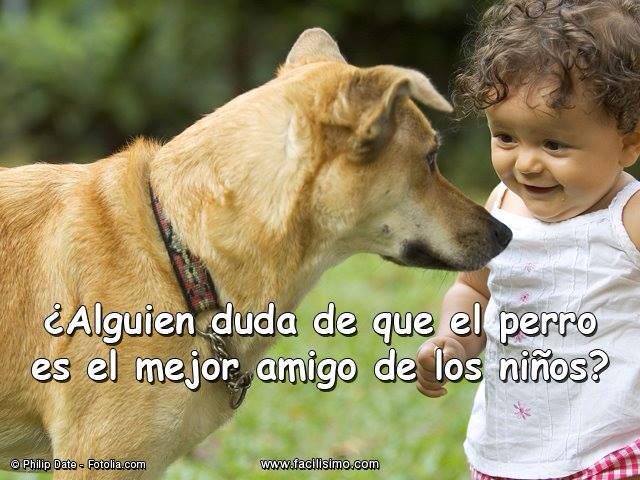 ¿Alguien duda de que el perro es el mejor amigo de los niños?