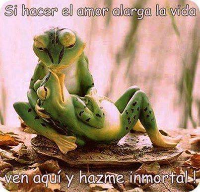 Si hacer el amor alarga la vida…