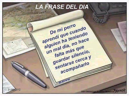 De mi perro aprendí que cuando alguien ha tenido un mal día, no hace falta más que guardar silencio, sentarse cerca y acompañarlo.