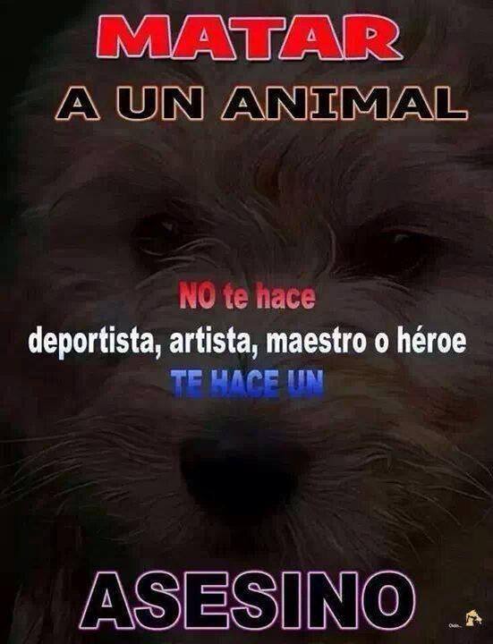 Matar a un animal. No te hace deportista, artista, maestro o héroe. Te hace un Asesino.