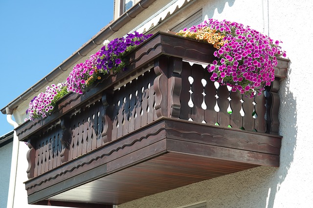 Sugerencias para terrazas, balcones, maceteros y canteros para jardines