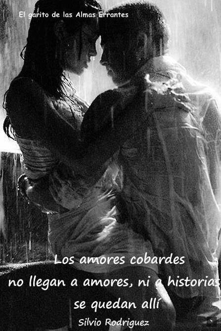 Los amores cobardes no llegan a amores