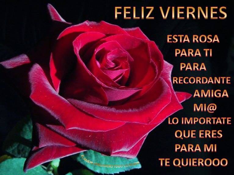 Feliz Viernes. Esta rosa es para ti, para recordarte amiga mi@, lo importante que eres para mi te Quiero.