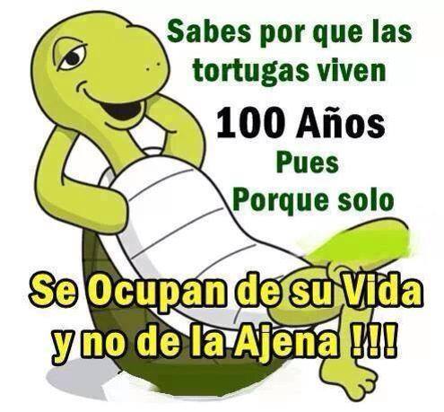 Sabes por que las tortugas viven 100 años. Pues porque solo se ocupan de su vida y no de la Ajena!!!!