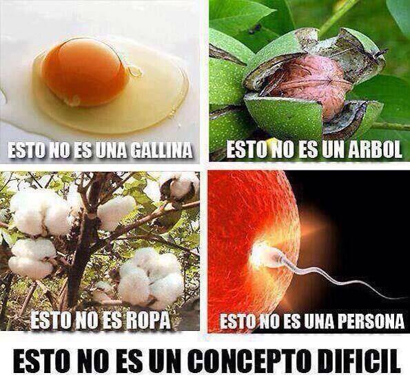 Esto no es concepto difícil. Esto no es una gallina. Esto no es un árbol. Esto no es Ropa. Esto no es una persona.