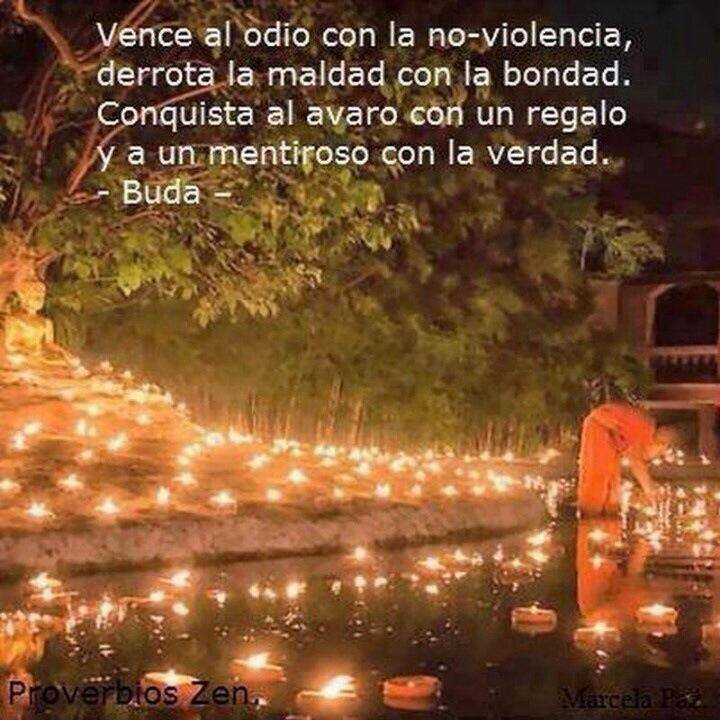 "Vence el odio con la no-violencia, derrota la maldad con la bondad. Conquista al avaro con un regalo y a un mentiroso con la verdad". Buda