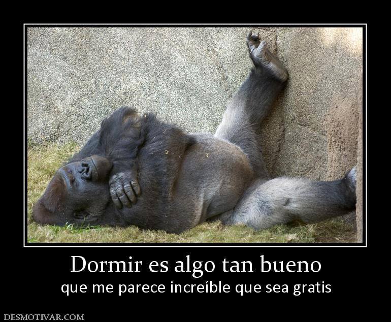 Dormir es algo tan bueno que me parece increíble que sea gratis.
