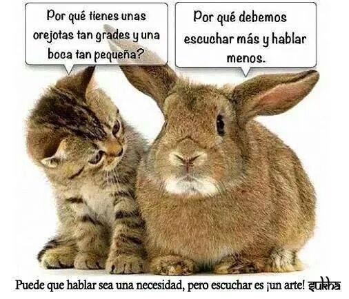 Por qué tienes unas orejotas tan grandes y una boca tan pequeña? Porque debemos escuchar más y hablar menos. Puede que hablar sea una necesidad, pero escuchar es un ¡Arte!