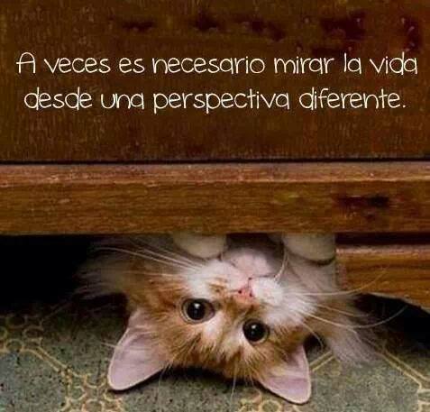 A veces es necesario mirar la vida desde una perspectiva diferente.