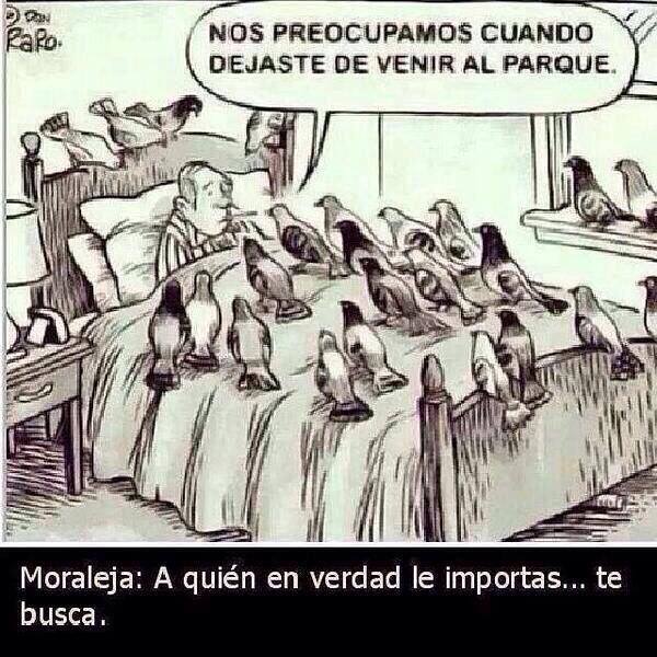 A quién de verdad importas te busca