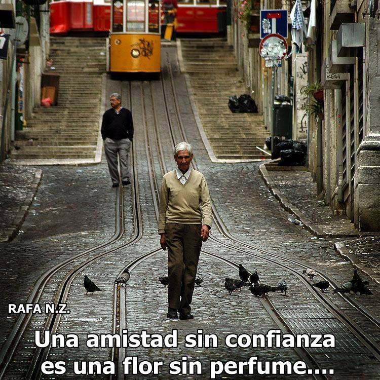 Una amistad sin confianza es una flor sin perfume