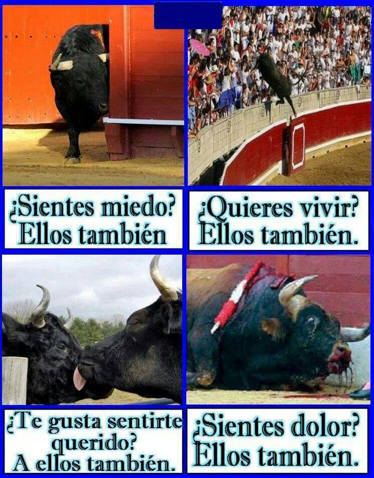 No al maltrato animal