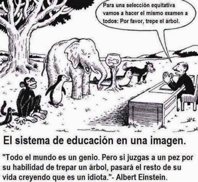 El sistema de educación en una imagen