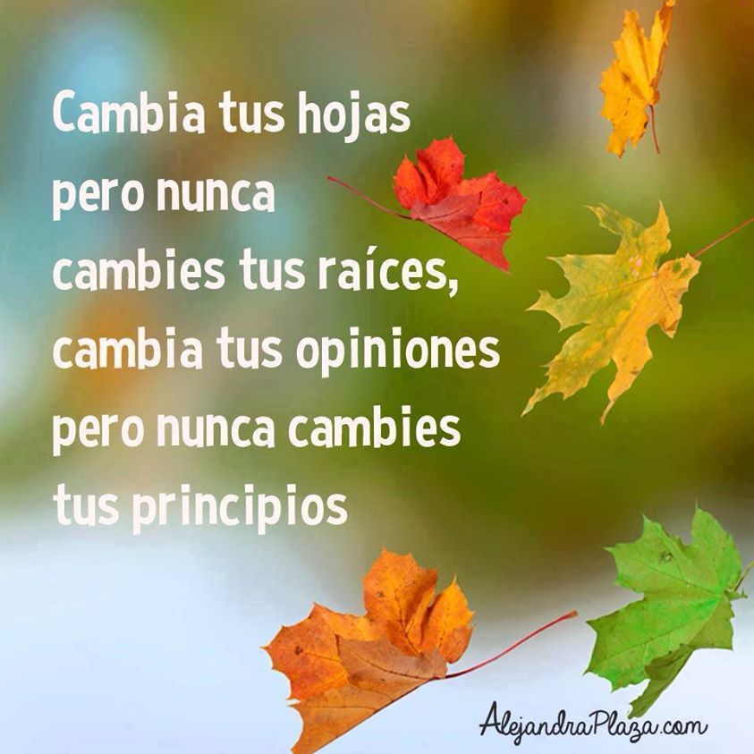 Cambia tus hojas pero no cambies tus raíces