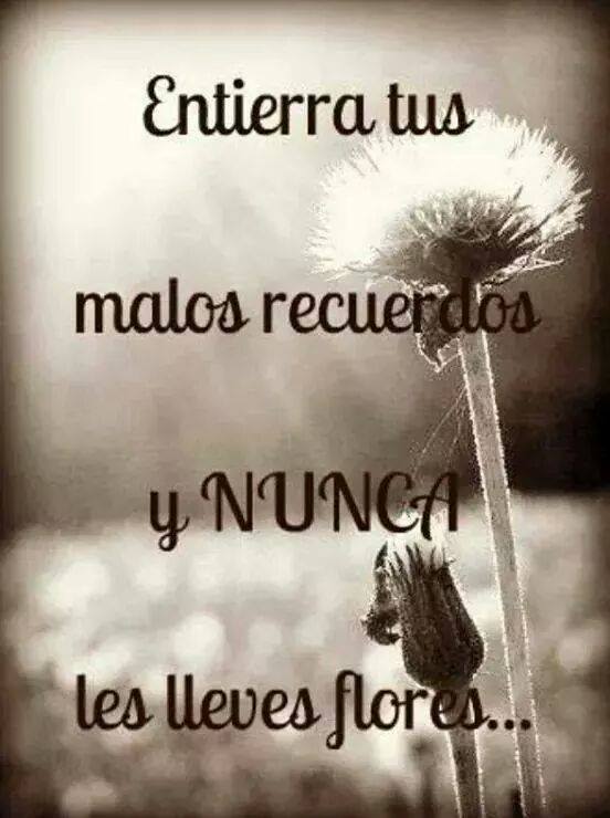 Entierra tus malos recuerdos