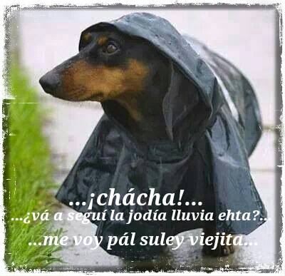 ¿Va a seguí la jodía lluvia ehta?