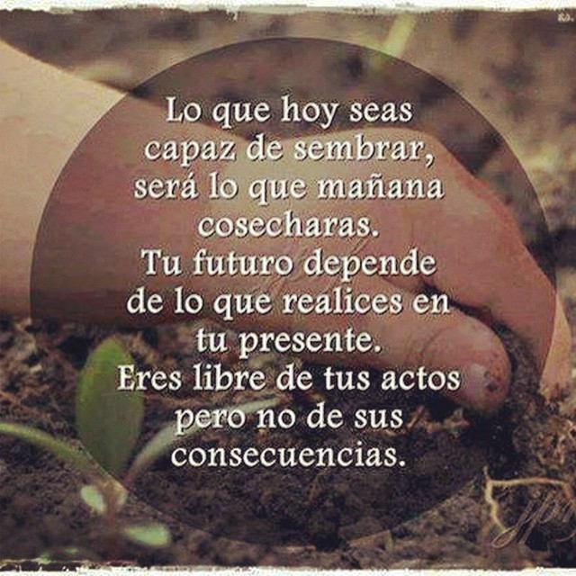 Lo que hoy seas capaz de sembrar