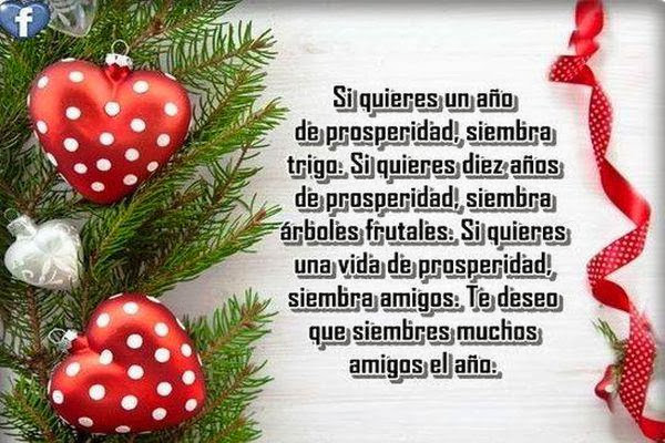 Si quieres un año de prosperidad siembra trigo