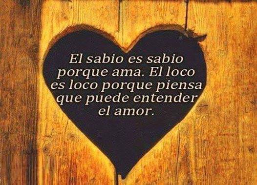 El sabio es sabio porque ama