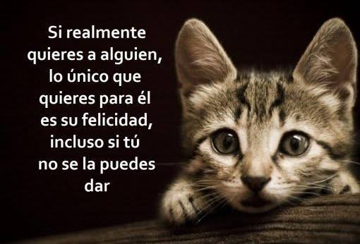 Si realmente quieres a alguien