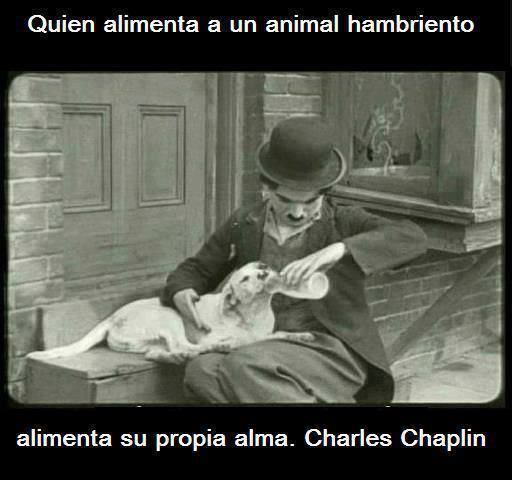 Quien alimenta a un animal hambriento