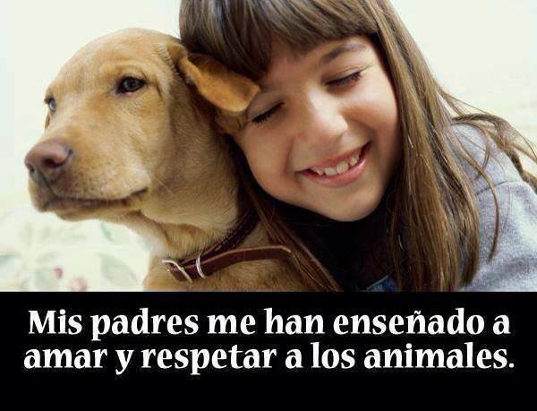 Amar y respetar a los animales