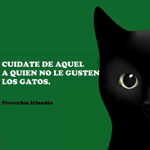 Cuídate de aquel…