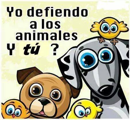 Yo defiendo a los animales. ¿Y tú?