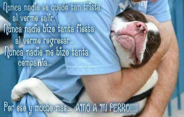 Amo a mi perro