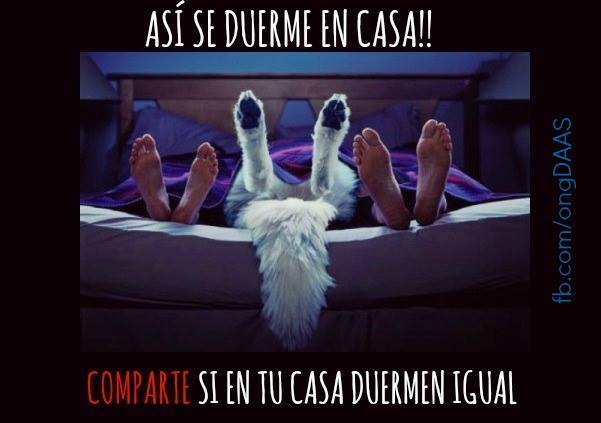 Así se duerme en casa