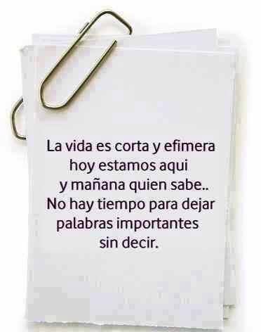 La vida es corta y efímera