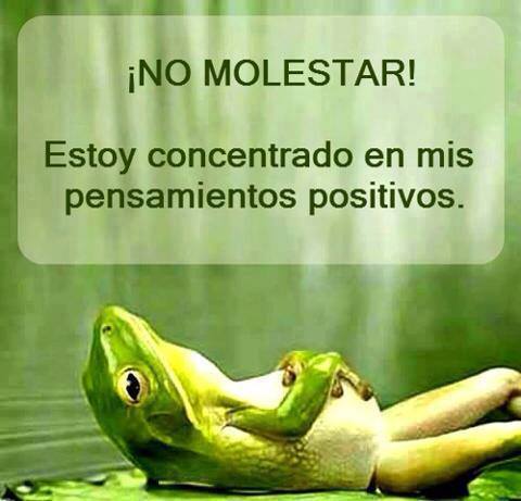 No molestar. Estoy concentrado en mis pensamientos positivos