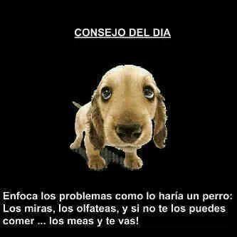 Consejo del día