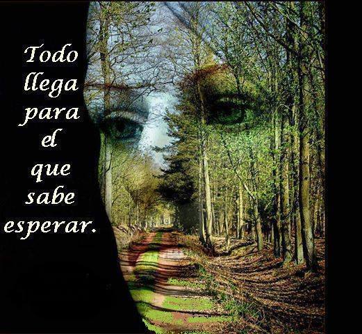 Todo llega