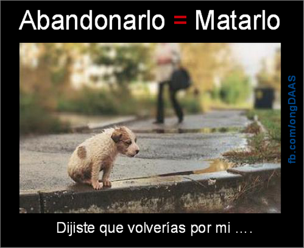 Dijiste que volverías por mi