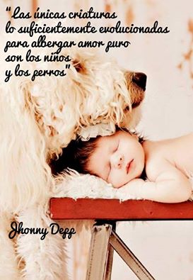 Albergar amor puro