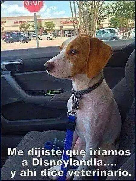 Me dijiste que iríamos a Disneylandia