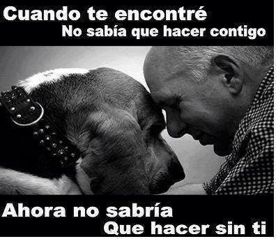 No sabría que hacer sin ti