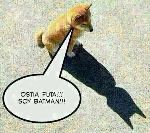 Soy Batman!!!!!!!!